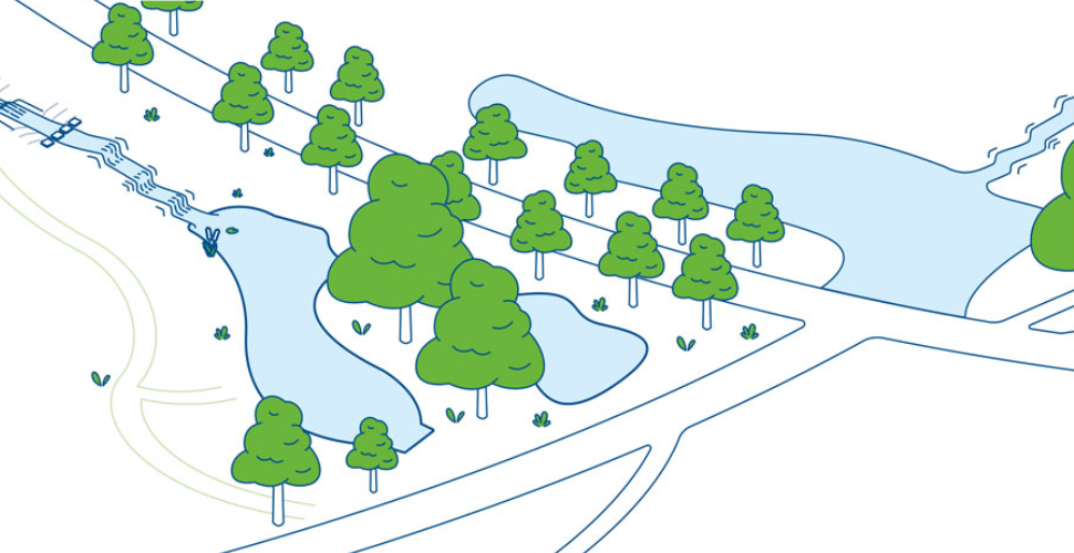 Central Park ponds artwork outline